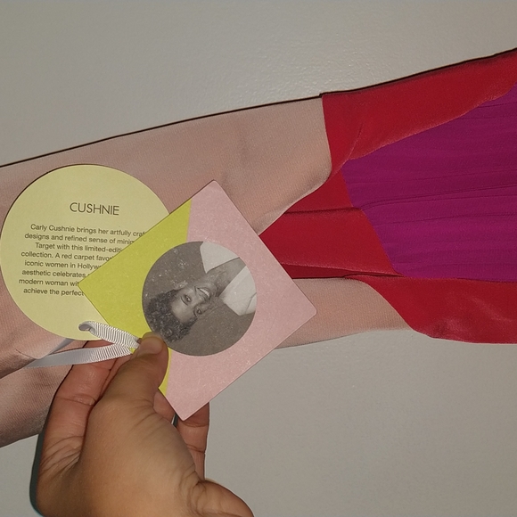 Cushnie Blush Combo Dress - Picture 2 of 7